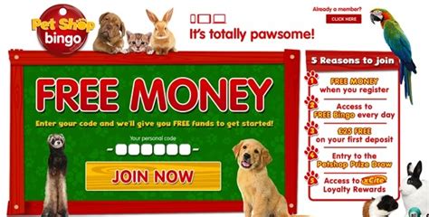 Pet shop bingo casino codigo promocional
